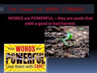The Power of WORDS (TONGUE)
WORDS are POWERFUL – they are seeds that
yield a good or bad harvest.
 