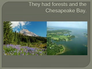 They had forests and the Chesapeake Bay.