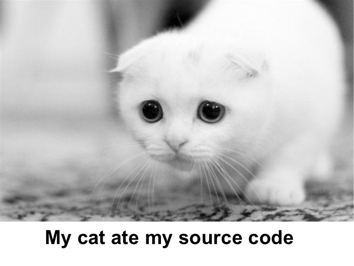 some principles from the pragmatic programmer