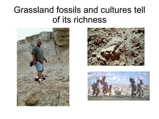 Grassland fossils and cultures tell of its richness 