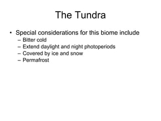The Tundra Special considerations for this biome include Bitter cold Extend daylight and night photoperiods Covered by ice and snow Permafrost 