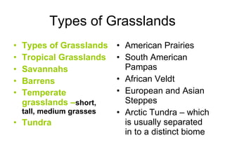 Types of Grasslands Types of Grasslands Tropical Grasslands Savannahs Barrens Temperate grasslands – short, tall, medium grasses Tundra American Prairies South American Pampas African Veldt European and Asian Steppes Arctic Tundra – which is usually separated in to a distinct biome 