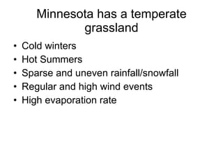 Minnesota has a temperate grassland Cold winters Hot Summers Sparse and uneven rainfall/snowfall Regular and high wind events  High evaporation rate 