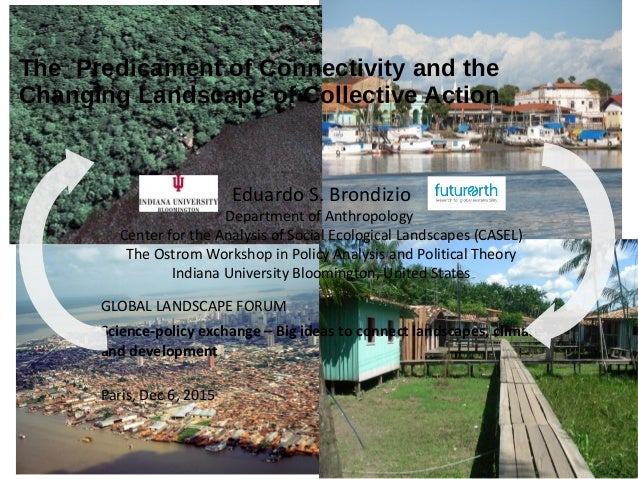 The predicament of connectivity and the changing landscape of collec…