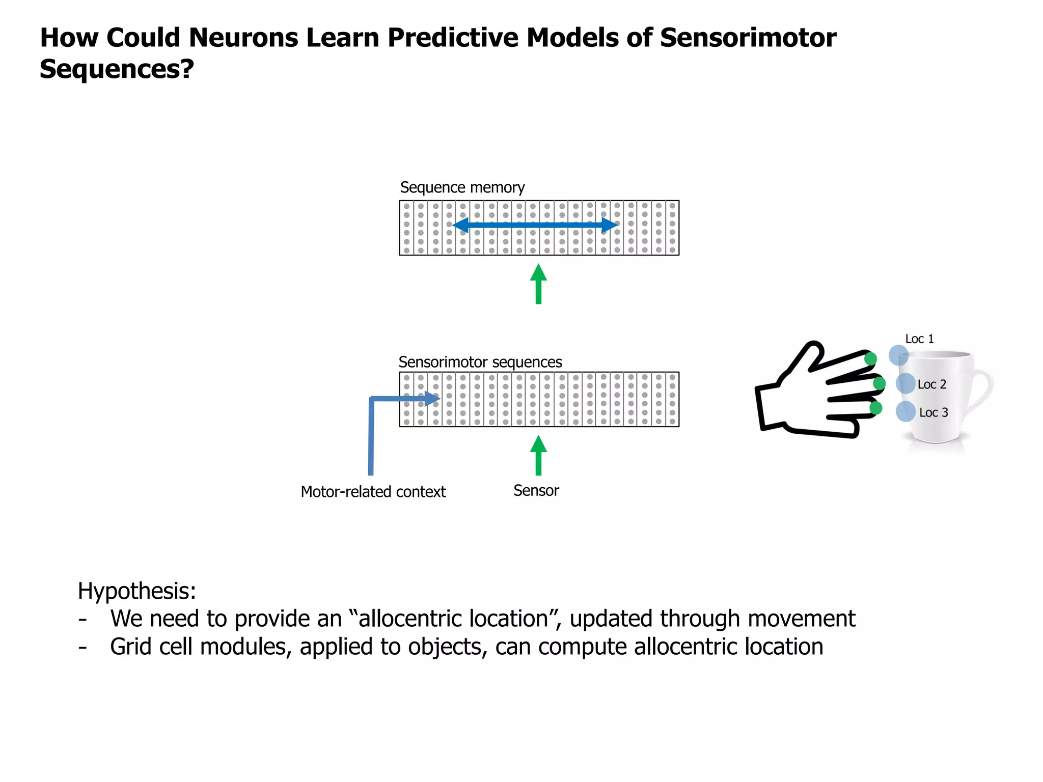 How Could Neurons Learn Predictive Models of Sensorimotor
Sequences?
Sequence memory
Sensorimotor sequences
SensorMotor-related context
Hypothesis:
- We need to provide an “allocentric location”, updated through movement
- Grid cell modules, applied to objects, can compute allocentric location
 
