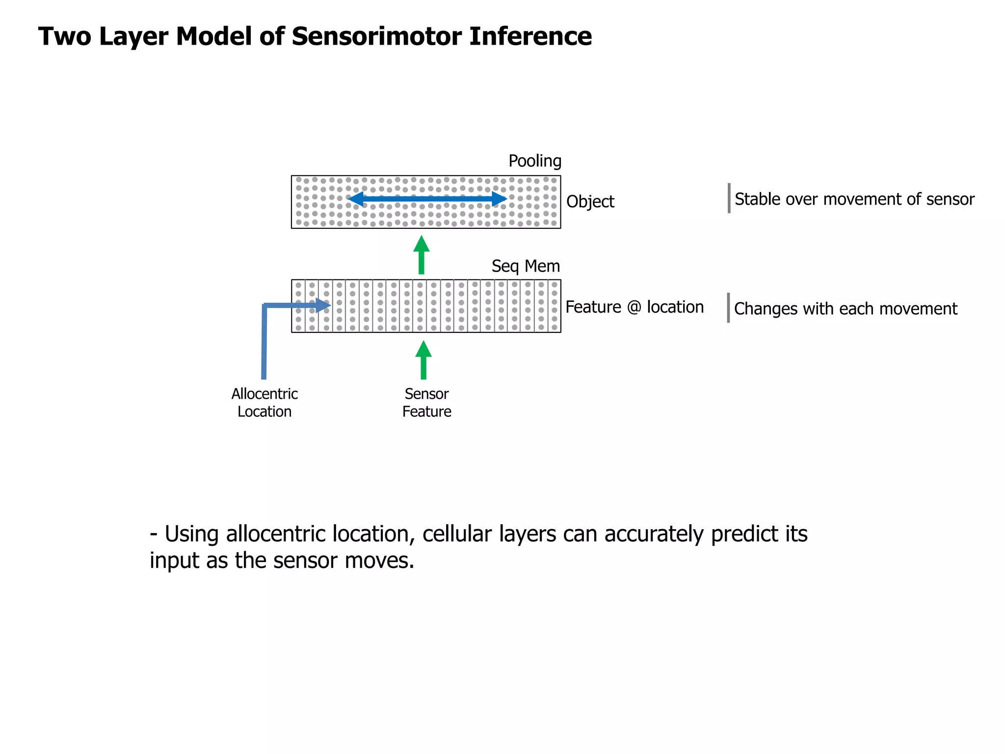 Two Layer Model of Sensorimotor Inference
Feature @ location
Object Stable over movement of sensor
- Using allocentric location, cellular layers can accurately predict its
input as the sensor moves.
Sensor
Feature
Allocentric
Location
Pooling
Seq Mem
Changes with each movement
 