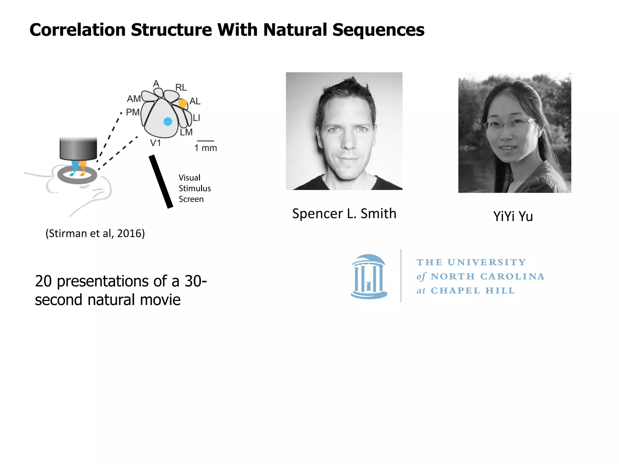Correlation Structure With Natural Sequences
Cell Assembly Order
3 4 5 6
Numberofunique
cellassemblies
x104
0
1
2
3
4
5
6
7
Trial Number
0 5 10 15 20
ActivationDensity
# 10-3
3
4
5
6
7
8
9
10
11
12
V1
AL
D
ataShuffled
Poisson
Subsetindex
0
0.02
0.04
0.06
0.08
V1
Trial 1 Trial 20
Visual
Stimulus
Screen
A
Time (sec)
5 10 15 20 25 30
Neuron#
0
50
100
150
200
250
300
350
Time (sec)
5 10 15 20 25 30
Neuron#
0
50
100
150
200
250
300
350
Neuron#
80
100
120
140
160
Neuron#
80
100
120
140
160
Cell A
3 4
0
500
1000
1500
2000
2500
3000V1
ALV1
V1
AL
B
C
F
E
D
0.2
0.3
0.06
0.08
serving
lassembly
serving
lassembly
(Stirman	et	al,	2016)
Spencer	L.	Smith YiYi Yu
20 presentations of a 30-
second natural movie
 