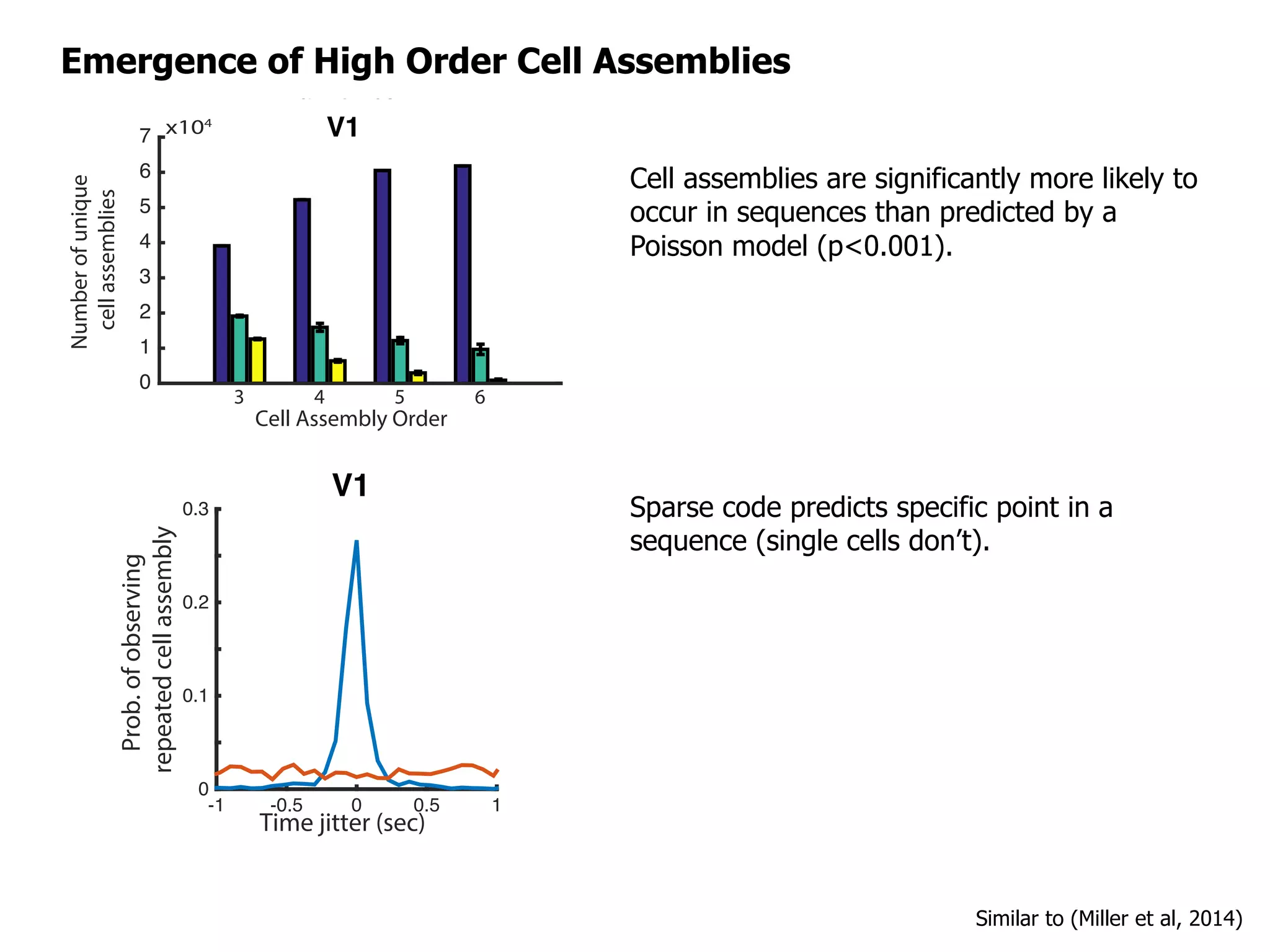 Emergence of High Order Cell Assemblies
Cell Assembly Order
3 4 5 6
Numberofunique
cellassemblies
x104
0
1
2
3
4
5
6
7
Trial Number
0 5 10 15 20
3
4 0
D
ataShuffled
Poisson
0
30
30
Cell Assembly Order
3 4 5 6
0
500
1000
1500
2000
2500
3000
Data
Shuffled
Poisson
D
ataShuffled
Poisson
ALV1
ALV1
3-order cell
assembly
single cell
-1 -0.5 0 0.5 1
0
0.1
0.2
0.3
-1 -0.5 0 0.5 1
0
0.02
0.04
0.06
0.08
Time jitter (sec)
Prob.ofobserving
repeatedcellassembly
Time jitter (sec)
Prob.ofobserving
repeatedcellassembly
Cell assemblies are significantly more likely to
occur in sequences than predicted by a
Poisson model (p<0.001).
Cell Assembly Order
3 4 5 6
Numberofunique
cellassemblies
x104
0
1
2
3
4
5
6
7
Trial Number
0 5 10 15 20
3
0
D
ataShuffled
Poisson
0
Cell Assembly Order
3 4 5 6
0
500
1000
1500
2000
2500
3000
Data
Shuffled
Poisson
D
ataShuffled
Poisson
ALV1
ALV1
3-order cell
assembly
single cell
-1 -0.5 0 0.5 1
0
0.1
0.2
0.3
-1 -0.5 0 0.5 1
0
0.02
0.04
0.06
0.08
Time jitter (sec)
Prob.ofobserving
repeatedcellassembly
Time jitter (sec)
Prob.ofobserving
repeatedcellassembly
Sparse code predicts specific point in a
sequence (single cells don’t).
Similar to (Miller et al, 2014)
 