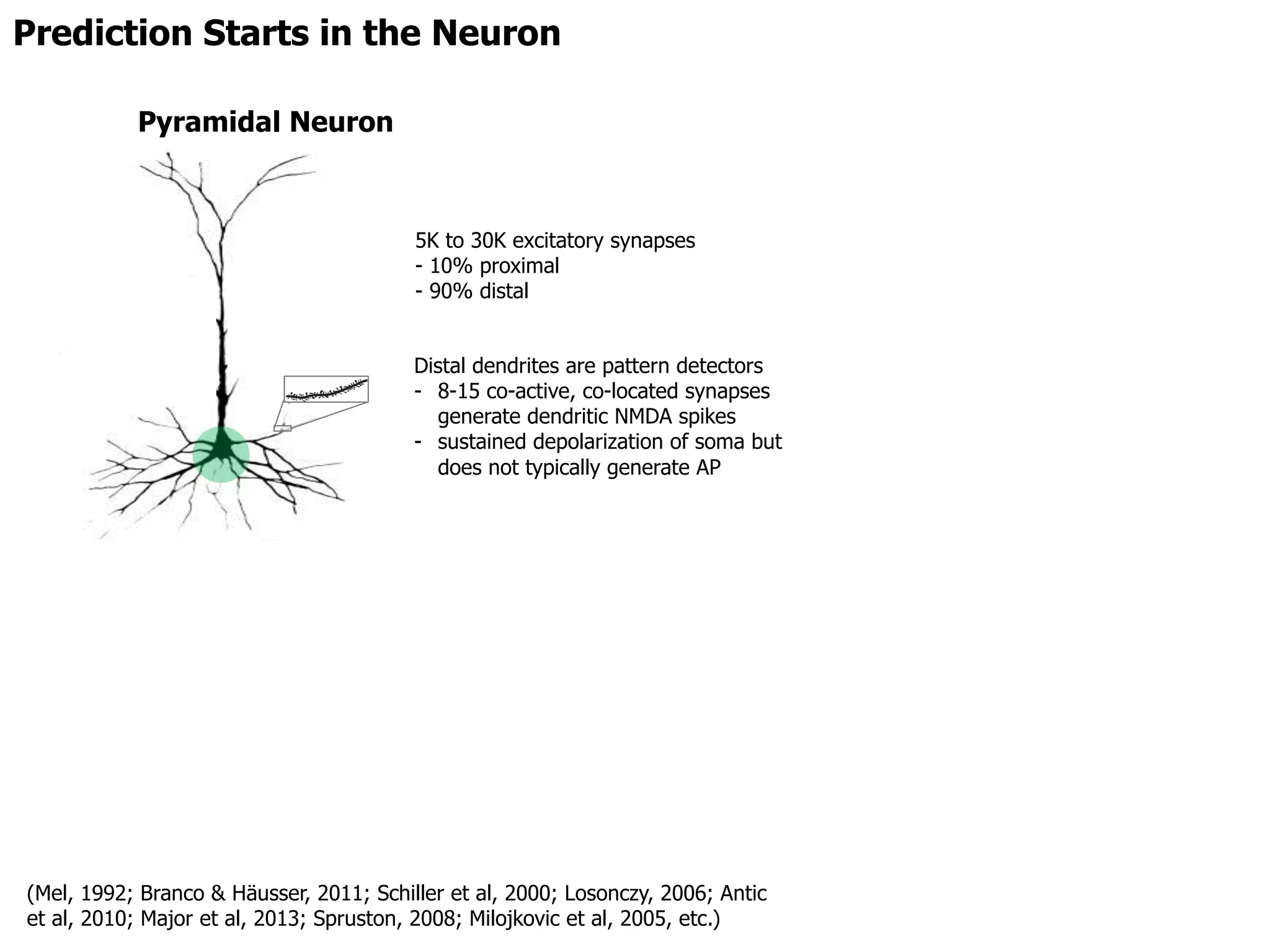 5K to 30K excitatory synapses
- 10% proximal
- 90% distal
Distal dendrites are pattern detectors
- 8-15 co-active, co-located synapses
generate dendritic NMDA spikes
- sustained depolarization of soma but
does not typically generate AP
Pyramidal Neuron
(Mel, 1992; Branco & Häusser, 2011; Schiller et al, 2000; Losonczy, 2006; Antic
et al, 2010; Major et al, 2013; Spruston, 2008; Milojkovic et al, 2005, etc.)
Prediction Starts in the Neuron
 