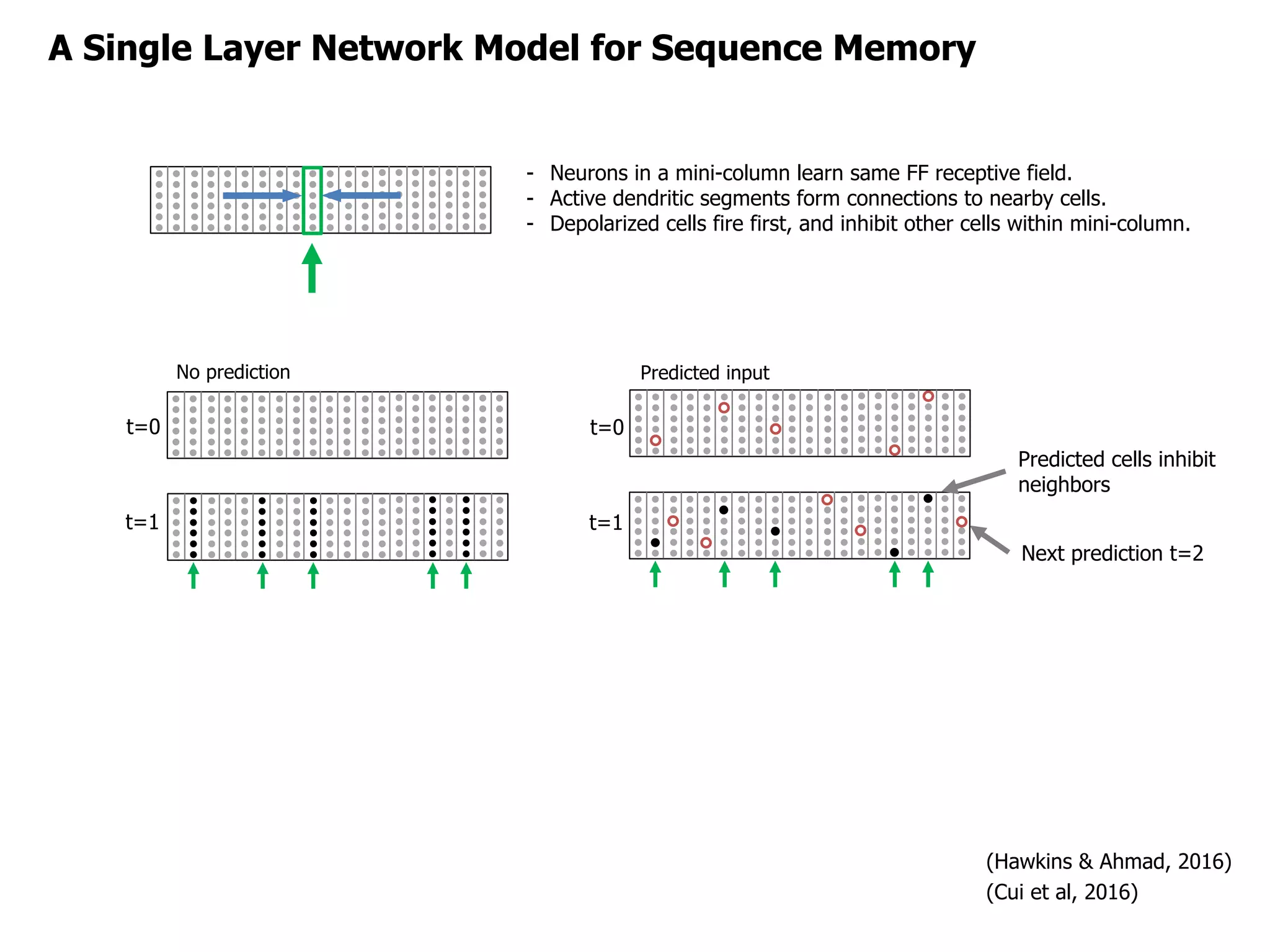 A Single Layer Network Model for Sequence Memory
- Neurons in a mini-column learn same FF receptive field.
- Active dendritic segments form connections to nearby cells.
- Depolarized cells fire first, and inhibit other cells within mini-column.
No prediction Predicted input
(Hawkins & Ahmad, 2016)
(Cui et al, 2016)
t=0
t=1
Predicted cells inhibit
neighbors
Next prediction t=2
t=0
t=1
 
