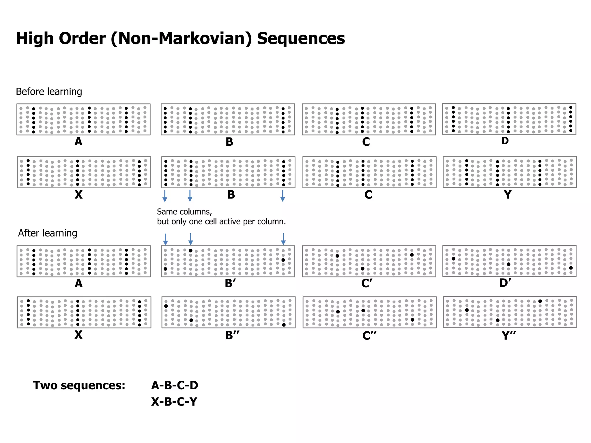 X
A B
B
C
C
D
Y
Before learning
X B’’ C’’
D’
Y’’
After learning
A B’ C’
Same columns,
but only one cell active per column.
High Order (Non-Markovian) Sequences
Two sequences: A-B-C-D
X-B-C-Y
 
