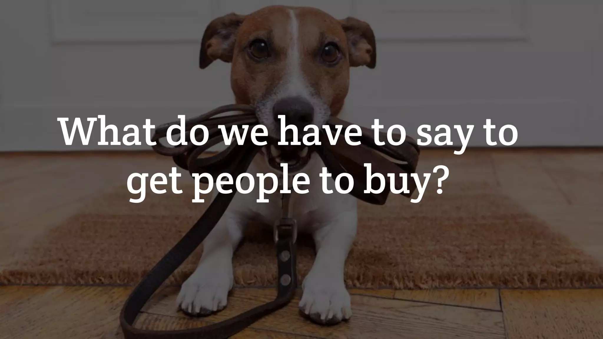 What do we have to say to
get people to buy?
 