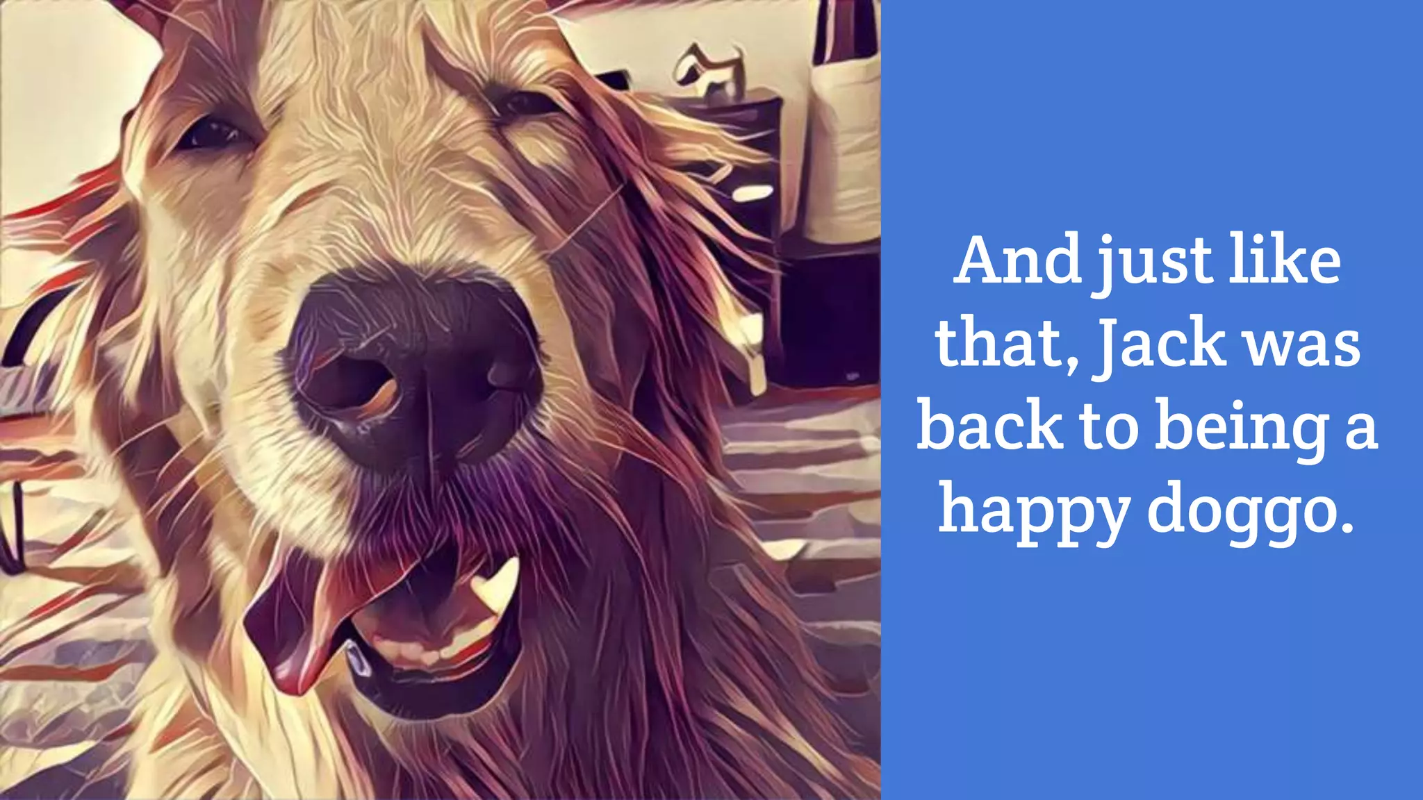 And just like
that, Jack was
back to being a
happy doggo.
 