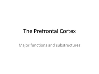 The Prefrontal Cortex Major functions and substructures 