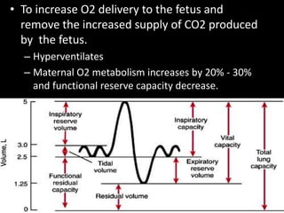 • To increase O2 delivery to the fetus and
remove the increased supply of CO2 produced
by the fetus.
– Hyperventilates
– Maternal O2 metabolism increases by 20% - 30%
and functional reserve capacity decrease.
 