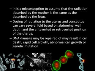 – In is a misconception to assume that the radiation
absorbed by the mother is the same as the
absorbed by the fetus.
– Dosing of radiation to the uterus and conceptus
can vary several fold based on abdominal wall
depth and the anteverted or retroverted position
of the uterus.
– DNA damage may be repaired of may result in cell
death, rapid cell growth, abnormal cell growth or
genetic mutation.
 