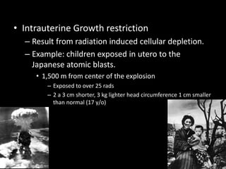 • Intrauterine Growth restriction
– Result from radiation induced cellular depletion.
– Example: children exposed in utero to the
Japanese atomic blasts.
• 1,500 m from center of the explosion
– Exposed to over 25 rads
– 2 a 3 cm shorter, 3 kg lighter head circumference 1 cm smaller
than normal (17 y/o)
 