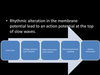 • Rhythmic alteration in the membrane
potential lead to an action potential at the top
of slow waves.
Entry Ca2+
Voltage sensitive
Ca2+ channel
Allow interaction
actin-myosin
Electromechanical
coupling
Uterine
contraction
 