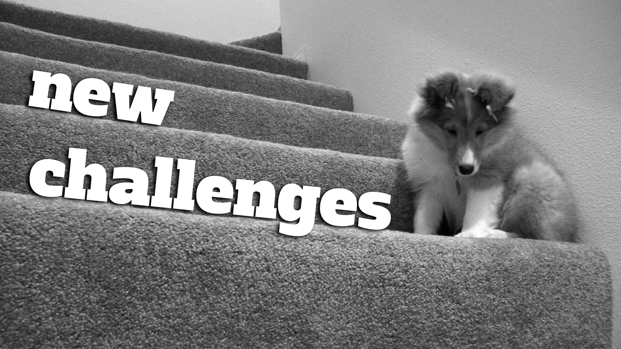 new
challenges
 