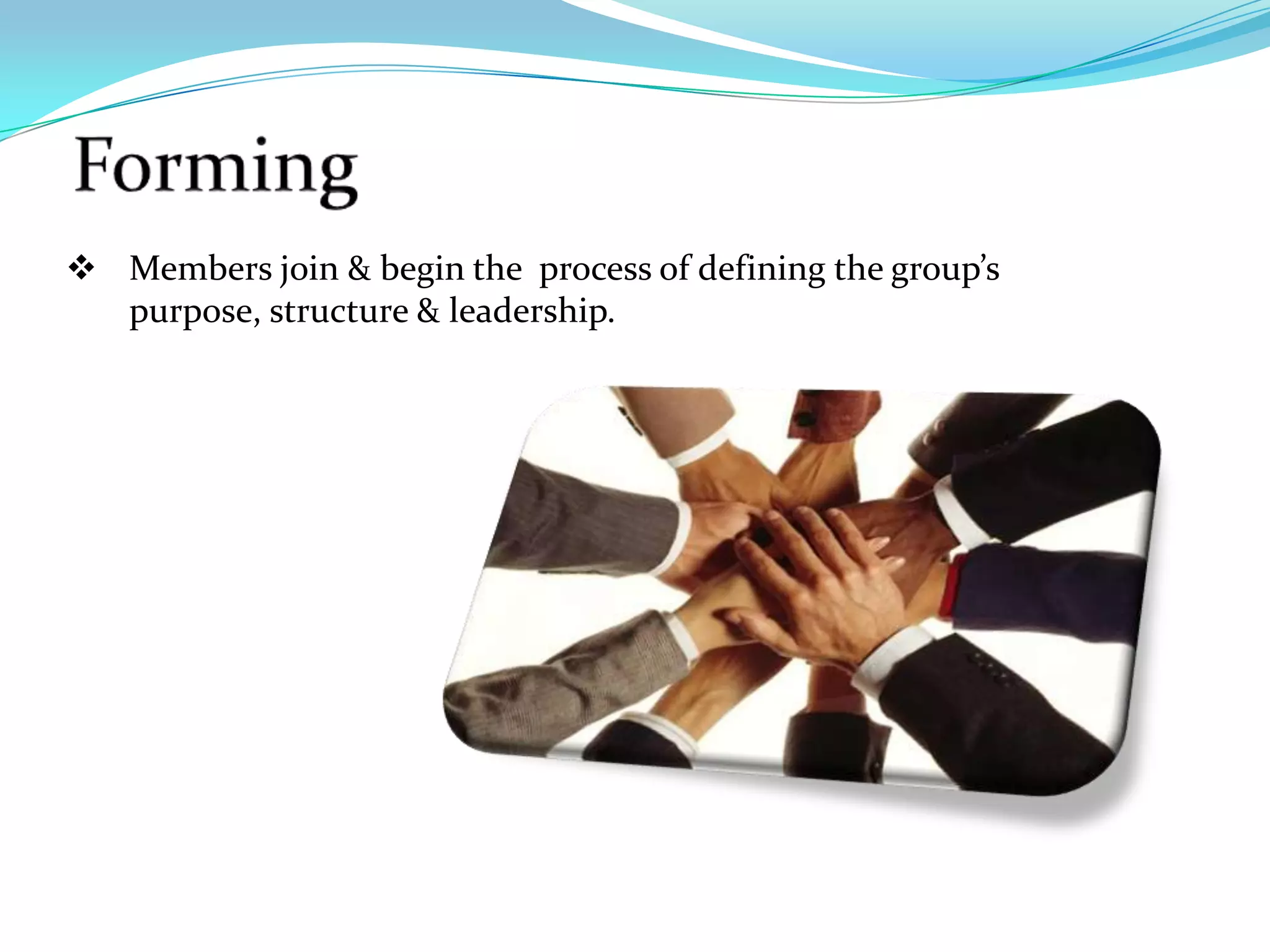  Members join & begin the process of defining the group’s
  purpose, structure & leadership.
 