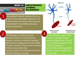 NEURODEGENERATIVE DISORDERS. | PPTX