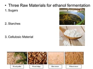 ETHANOL FERMENTATION USING BIOMASS | PDF