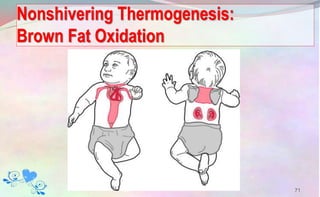 Nonshivering Thermogenesis:
Brown Fat Oxidation
71
 