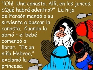 “¡Oh! Una canasta. Allí, en los juncos.
¿Qué habrá adentro?” La hija
de Faraón mandó a su
sirvienta a buscar la
canasta. Cuando la
abrió – el bebé
comenzó a
llorar. “Es un
niño Hebreo,”
exclamó la
princesa.
 