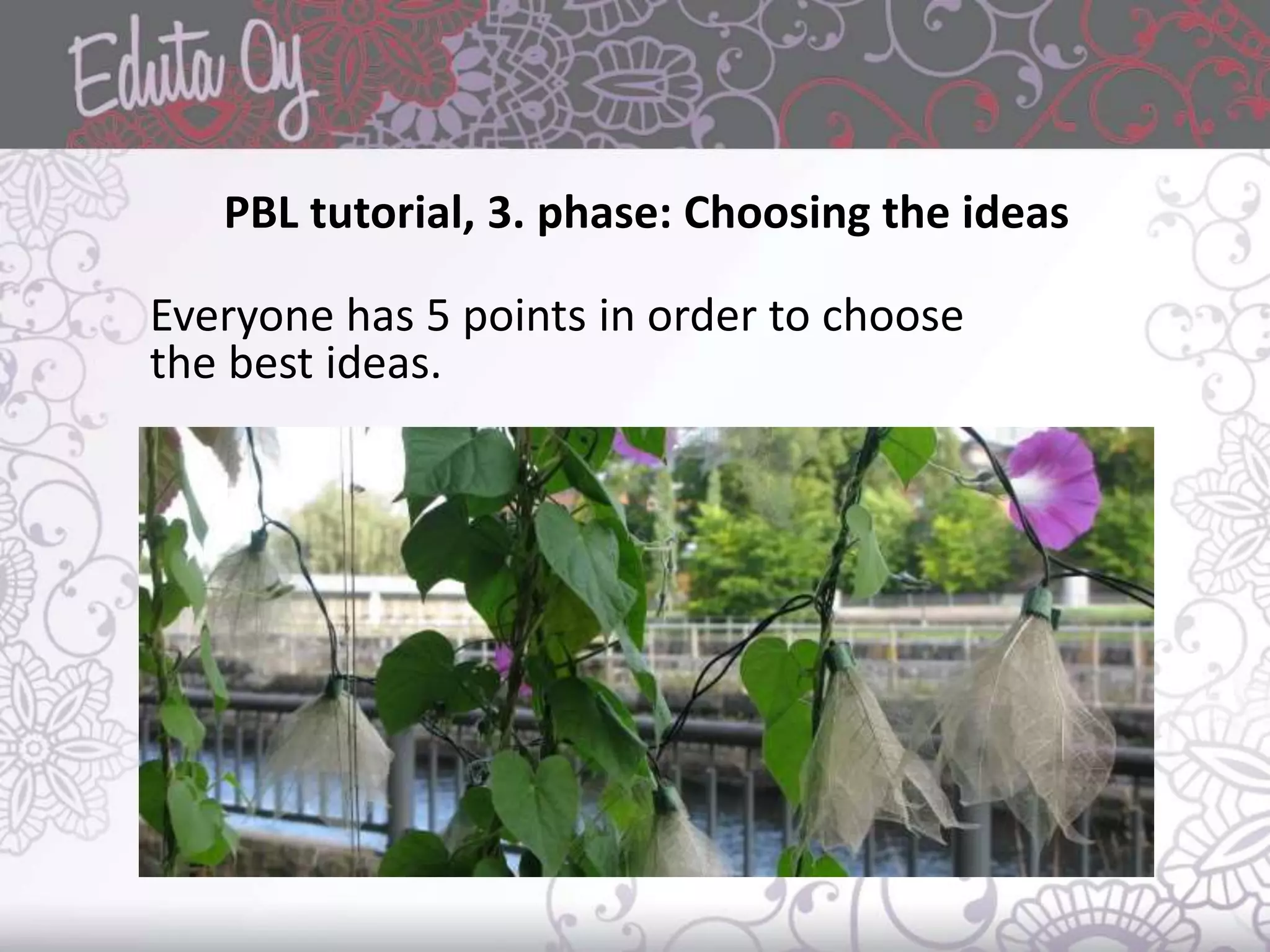 PBL tutorial, 3. phase: Choosing the ideas
Everyone has 5 points in order to choose
the best ideas.
 