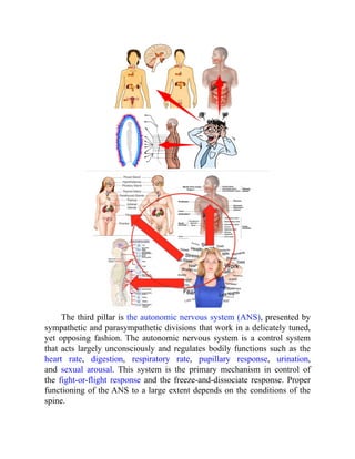 The third pillar is the autonomic nervous system (ANS), presented by
sympathetic and parasympathetic divisions that work in a delicately tuned,
yet opposing fashion. The autonomic nervous system is a control system
that acts largely unconsciously and regulates bodily functions such as the
heart rate, digestion, respiratory rate, pupillary response, urination,
and sexual arousal. This system is the primary mechanism in control of
the fight-or-flight response and the freeze-and-dissociate response. Proper
functioning of the ANS to a large extent depends on the conditions of the
spine.
 