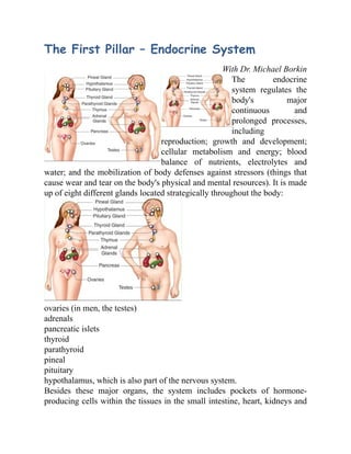 The First Pillar – Endocrine System
With Dr. Michael Borkin
The endocrine
system regulates the
body's major
continuous and
prolonged processes,
including
reproduction; growth and development;
cellular metabolism and energy; blood
balance of nutrients, electrolytes and
water; and the mobilization of body defenses against stressors (things that
cause wear and tear on the body's physical and mental resources). It is made
up of eight different glands located strategically throughout the body:
ovaries (in men, the testes)
adrenals
pancreatic islets
thyroid
parathyroid
pineal
pituitary
hypothalamus, which is also part of the nervous system.
Besides these major organs, the system includes pockets of hormone-
producing cells within the tissues in the small intestine, heart, kidneys and
 