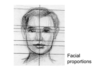Facial
proportions
 