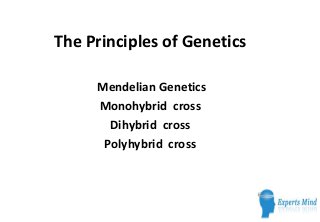 The Principles of Genetics

     Mendelian Genetics
     Monohybrid cross
       Dihybrid cross
      Polyhybrid cross
 