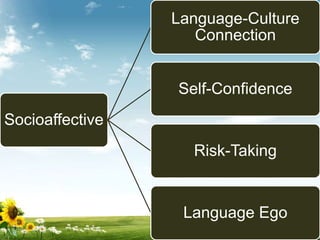 Socioaffective
Language-Culture
Connection
Self-Confidence
Risk-Taking
Language Ego
 