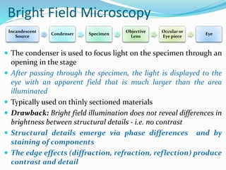 The Principles of Microscopy.pptx