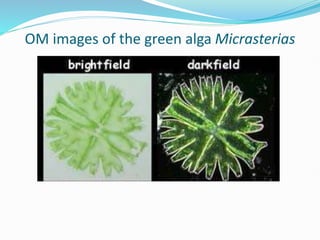 Microlaria Microscope The Principles of Microscopy.pptx