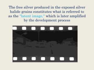 The free silver produced in the exposed silver
halide grains constitutes what is referred to
as the "latent image," which is later amplified
by the development process
 