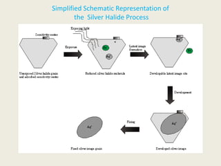 Simplified Schematic Representation of
the Silver Halide Process
 