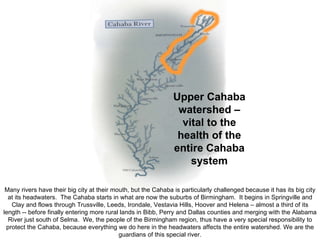 Upper Cahaba watershed – vital to the health of the entire Cahaba system Many rivers have their big city at their mouth, but the Cahaba is particularly challenged because it has its big city at its headwaters.  The Cahaba starts in what are now the suburbs of Birmingham.  It begins in Springville and Clay and flows through Trussville, Leeds, Irondale, Vestavia Hills, Hoover and Helena – almost a third of its length -- before finally entering more rural lands in Bibb, Perry and Dallas counties and merging with the Alabama River just south of Selma.  We, the people of the Birmingham region, thus have a very special responsibility to protect the Cahaba, because everything we do here in the headwaters affects the entire watershed. We are the guardians of this special river. 