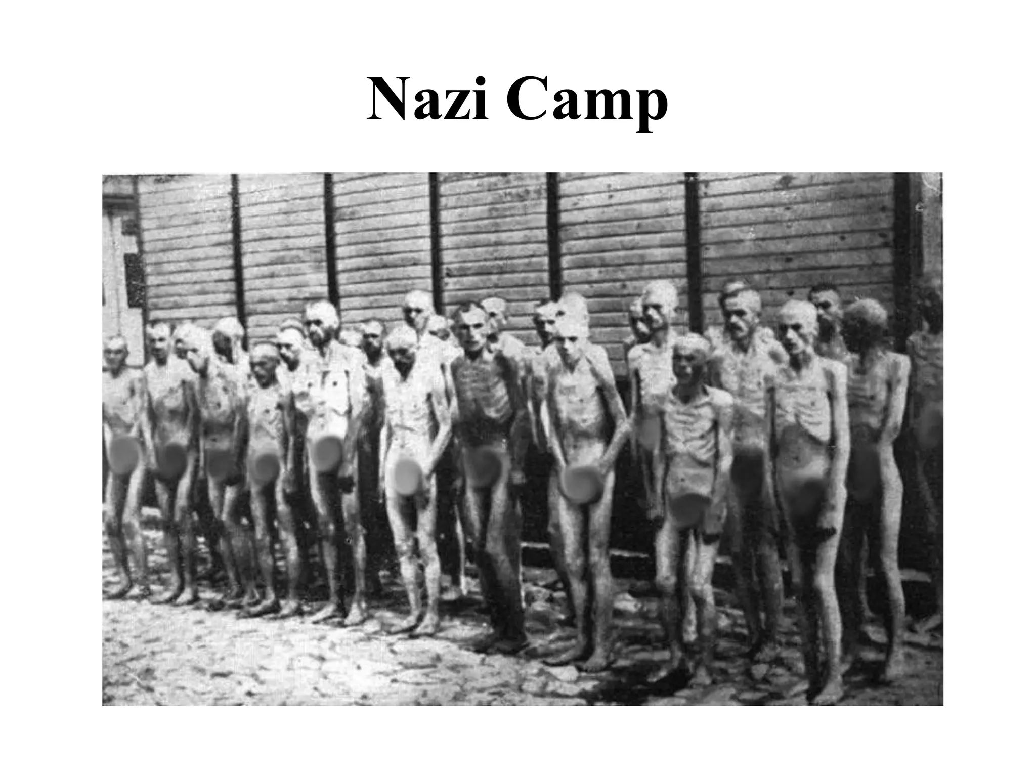 Nazi Camp
 