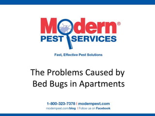The Problems Caused by Bed Bugs in Apartments 