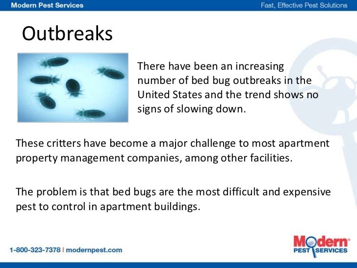 The Problems Caused By Bed Bugs in Apartments