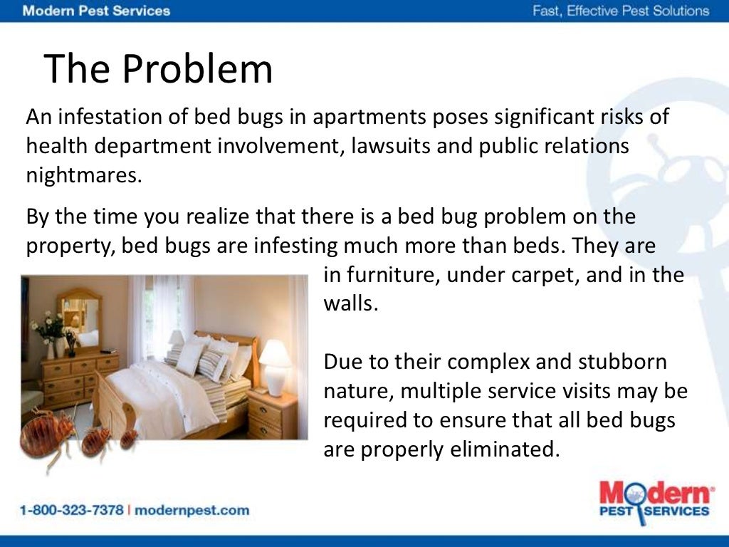 The Problems Caused By Bed Bugs in Apartments