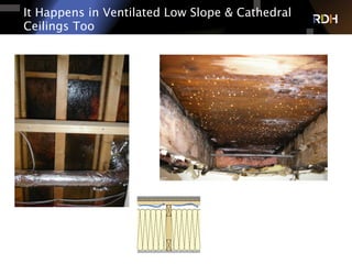It Happens in Ventilated Low Slope & Cathedral
Ceilings Too
 
