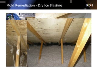 Mold Remediation - Dry Ice Blasting
 