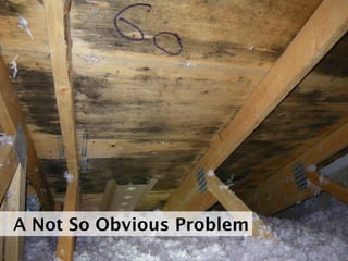 A Not So Obvious Problem
 