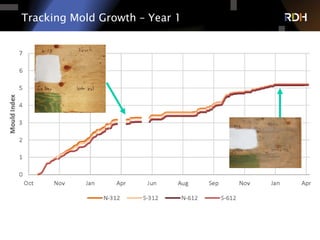 Tracking Mold Growth – Year 1
 