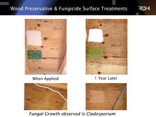 Wood Preservative & Fungicide Surface Treatments
When Applied 1 Year Later
Fungal Growth observed is Cladosporium
 