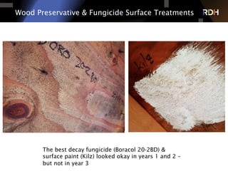 Wood Preservative & Fungicide Surface Treatments
The best decay fungicide (Boracol 20-2BD) &
surface paint (Kilz) looked okay in years 1 and 2 –
but not in year 3
 