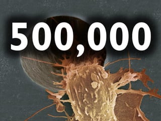 500,000
 